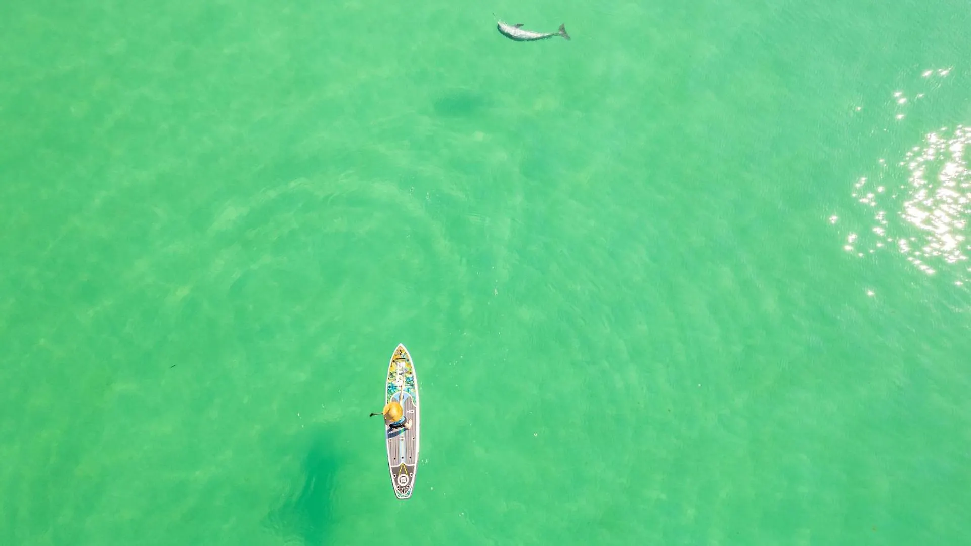 Apartment Pelican Beach 1811- By Holiday Isle Properties Destin